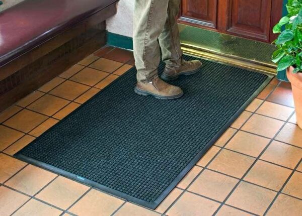 waterhog classic entrance mat